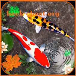 3D Koi Fish Wallpaper HD - 3D Fish Live Wallpapers icon