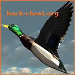 Duck Shoot VR icon