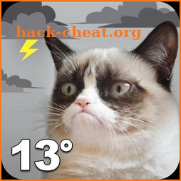 Grumpy Cat Weather icon