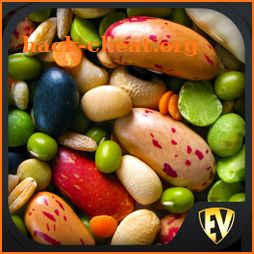 Legumes & Beans Recipes, Healthy, Offline, Salad icon