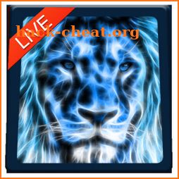 Lion Magic Touch Live wallpaper 2018 icon