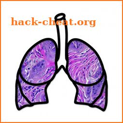 Lung Cancer Stage icon