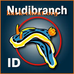 Nudibranch ID Eastern Pacific icon