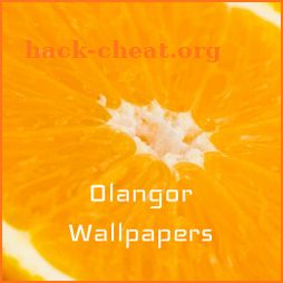 Olangor Wallpaper icon
