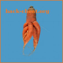 Quirky Carrots icon