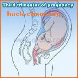 Treatment of the third trimester of pregnancy icon