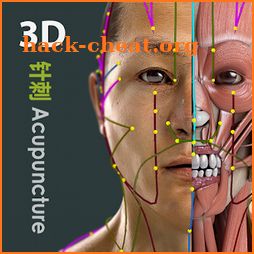 Visual Acupuncture 3D icon