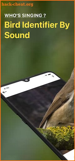 Bird Sound Identifier Bird ID screenshot