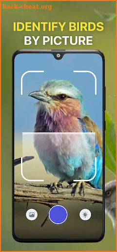 Bird Sound Identifier Bird ID screenshot