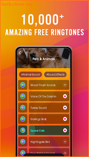 Free Ringtones Music Downloads screenshot