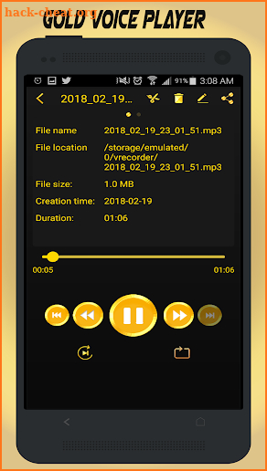 Gold Voice Recorder screenshot