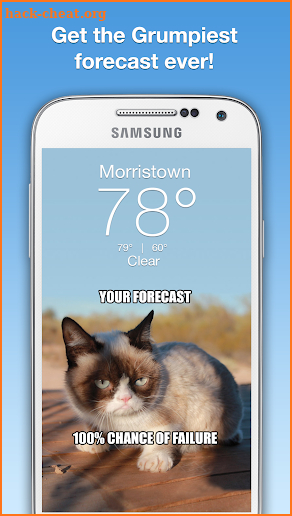 Grumpy Cat Weather screenshot