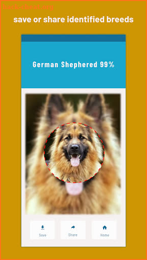 Identify Dog breeds -BreedSnap screenshot