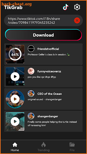 TikGrab - TikTok Downloader screenshot