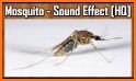 Mosquito Sound related image