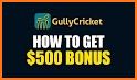 GullyCricket - Fantasy Cricket for the US related image