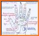 Palm scanner - fortune teller, future me palmistry related image
