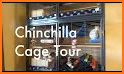 Chinchilla Home related image