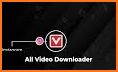 VidMedia Video Downloader 2022 related image