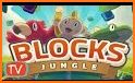 Block Puzzle Jungle related image
