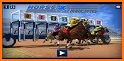 Horse Racing Derby Quest Horse Games Simulator 19 related image